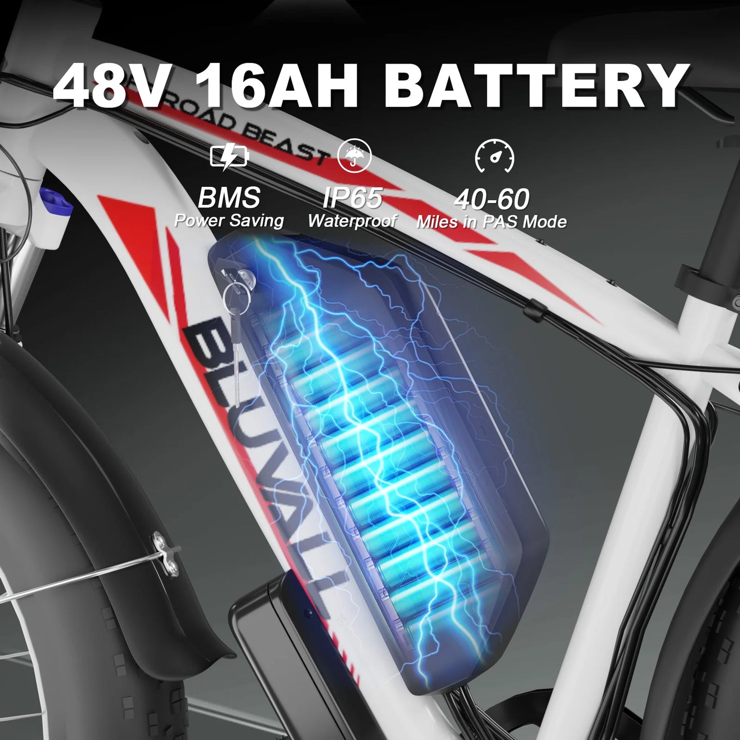 B1 Electric Bike By Bluvall -  31 MPH 60Miles Long Range