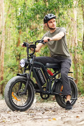 electric bicycle,electric bike,ebike,e bike e-bike,best electric bike,best e bike,best electric bicycle,electric bike for sale,electric bicycle for sale,top rated electric bike,top rated ebike,cheap e bike, cheap electric bicycle,eco bike electric,mountain electric bike,electric trike,electric tricycle,adult e-bike