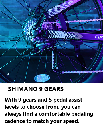 electric bicycle,electric bike,ebike,e bike e-bike,best electric bike,best e bike,best electric bicycle,electric bike for sale,electric bicycle for sale,top rated electric bike,top rated ebike,cheap e bike, cheap electric bicycle,eco bike electric,mountain electric bike,electric trike,electric tricycle,adult e-bike