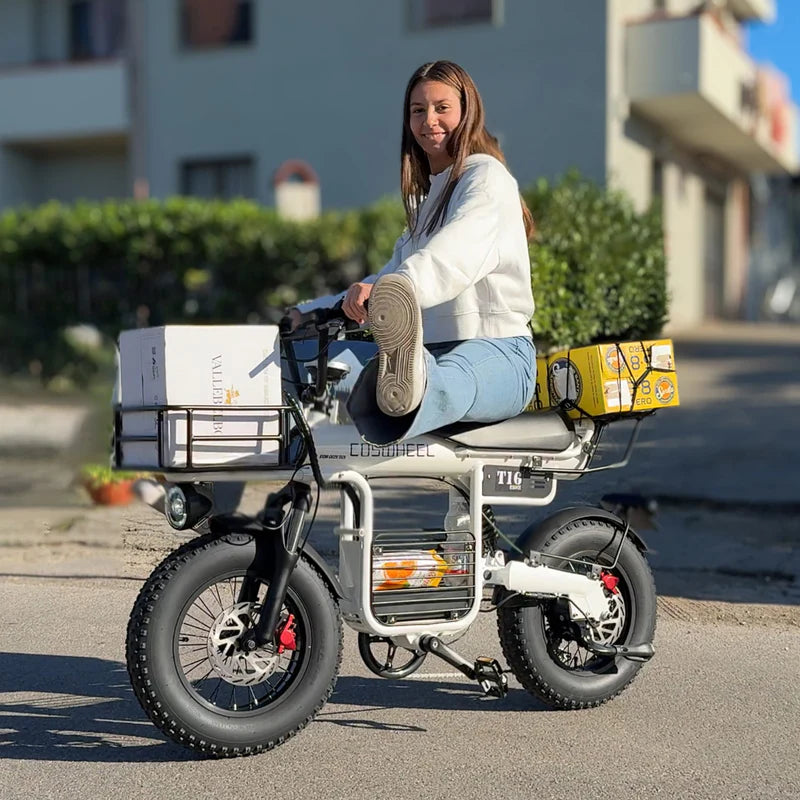 COSWHEEL T16 - Commuter E-bike - Also Cargo