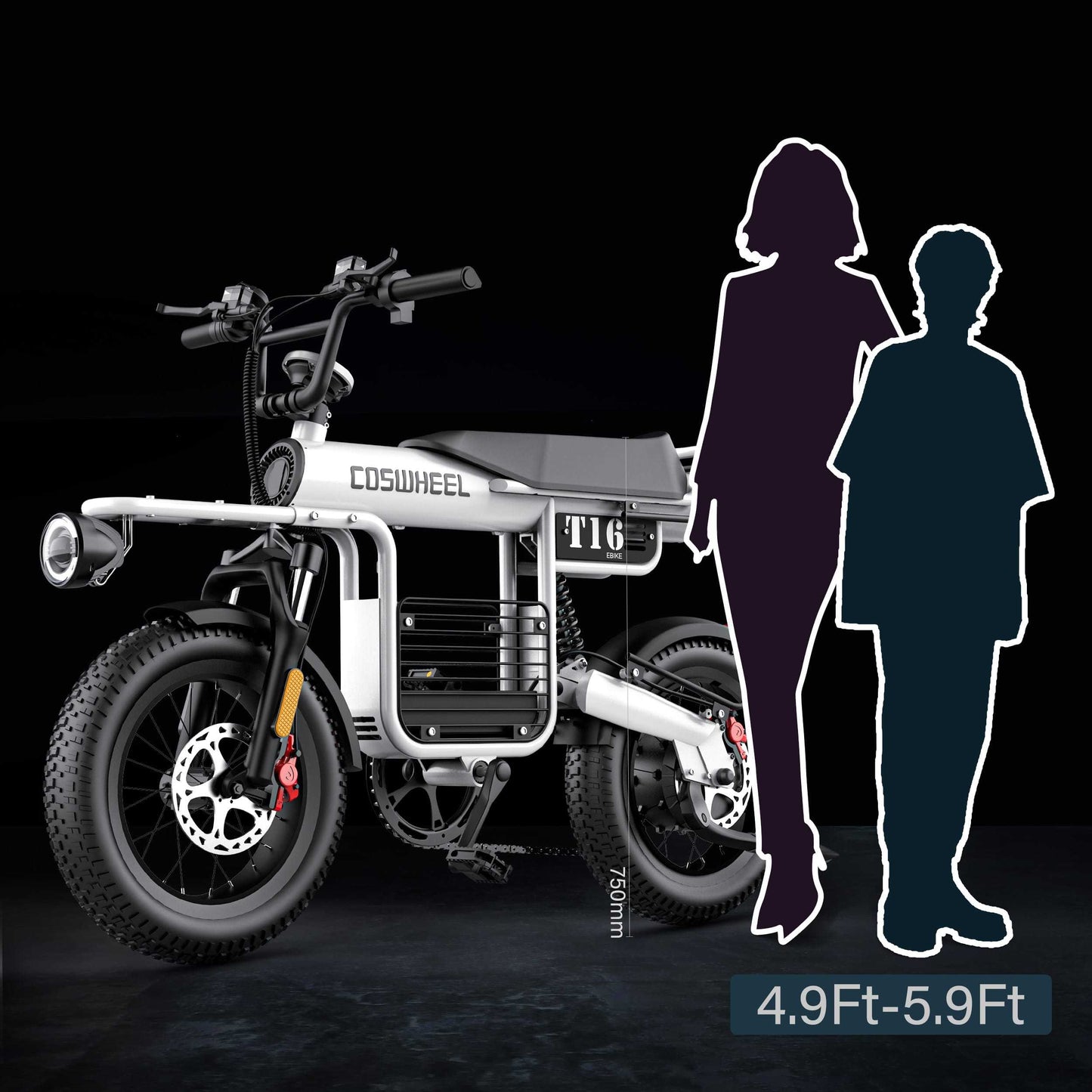 COSWHEEL T16 - Commuter E-bike - Also Cargo