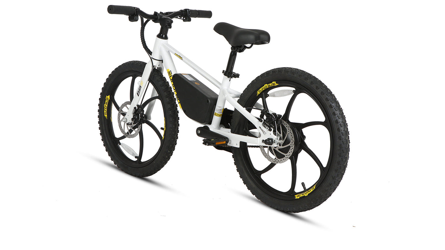 EKIDS-20 2024  -Bike by Eunorau - 24V 10A;with EUNORAU-designed battery casing