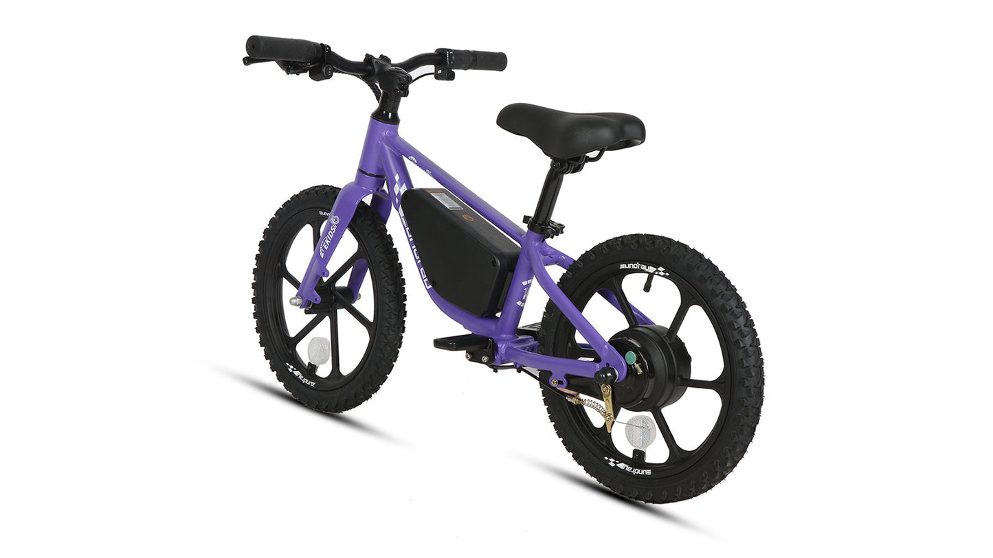 EKIDS-16 2024 E-Bike by Eunorau 24V 10AH battery with EUNORAU-designed battery casing