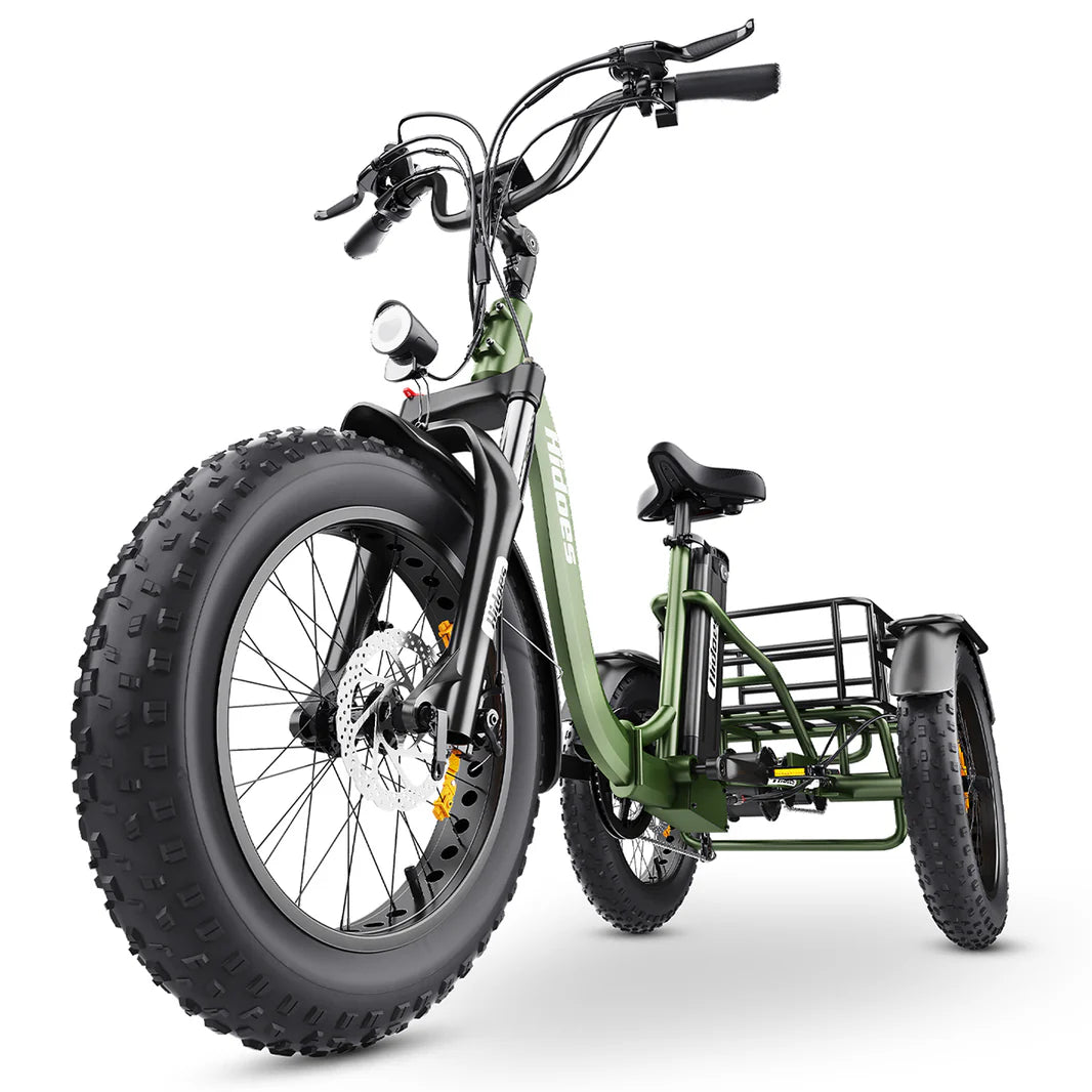 Introducing the ET1 Electric Tricycle by Hidoes® - Great Cargo E-Bike,