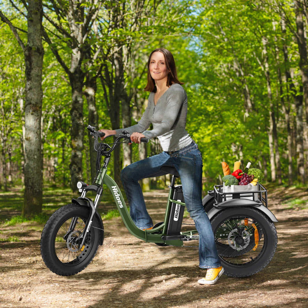 Introducing the ET1 Electric Tricycle by Hidoes® - Great Cargo E-Bike,