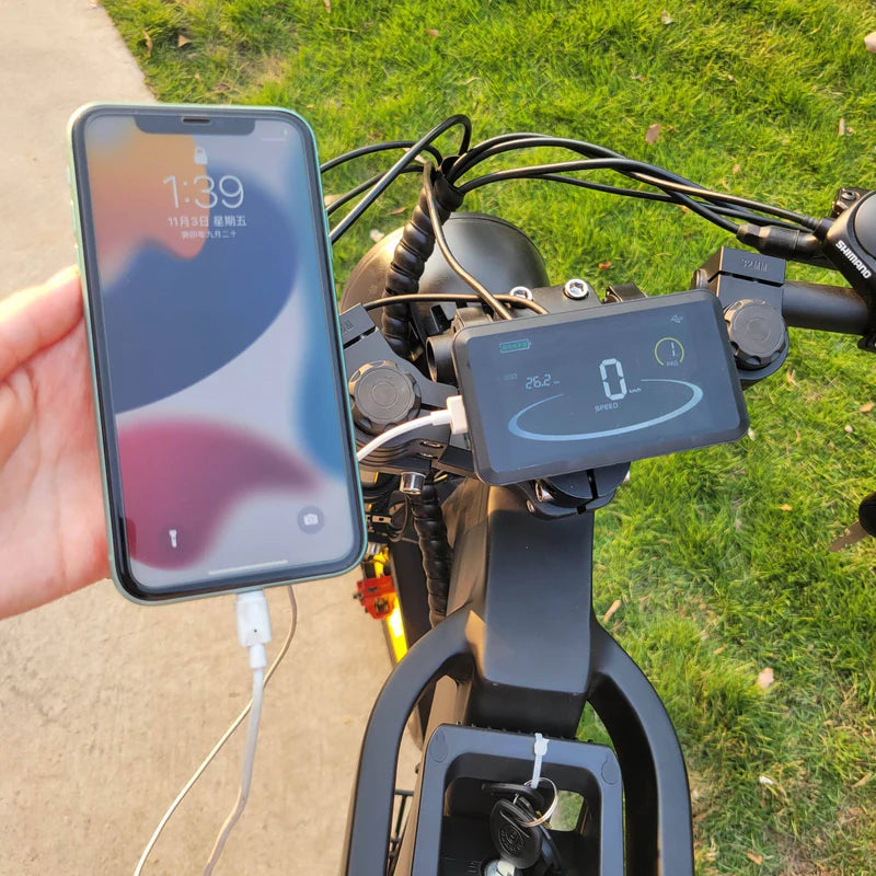 00 COSWHEEL GT20 - torque 80N.m, can climb 30 degrees slope, fat tire motorcycle ebike