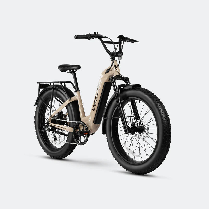 L1 26'' Step-Thru Fat Tire E-Bike by Veefa - 750W Motor - 60 Mile Range - 28 MPH