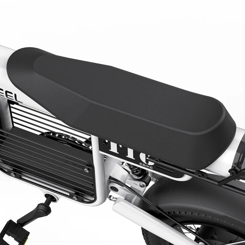 COSWHEEL T16 - Commuter E-bike - Also Cargo