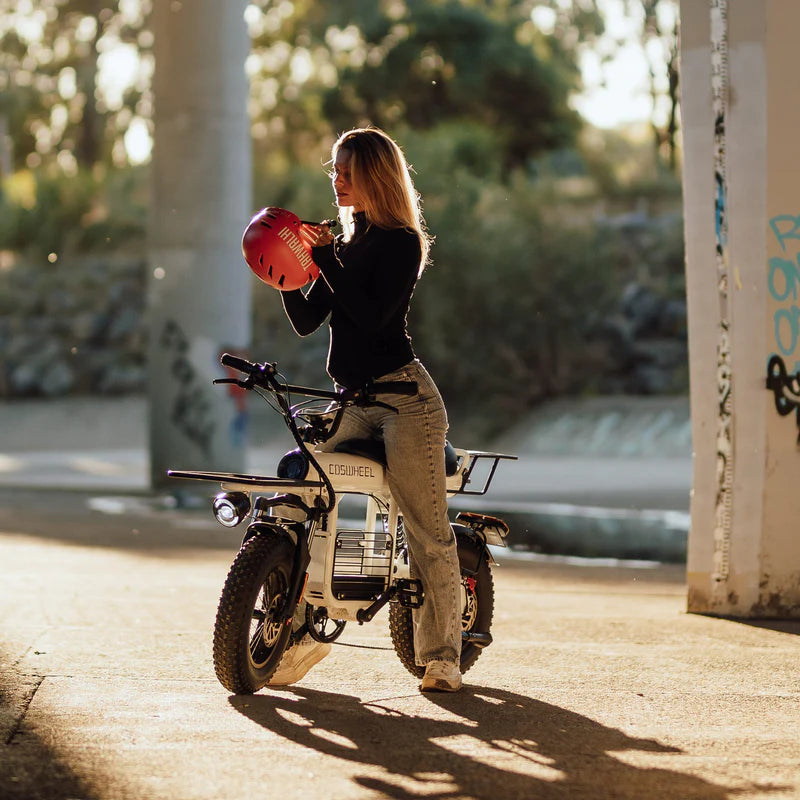 COSWHEEL T16 - Commuter E-bike - Also Cargo