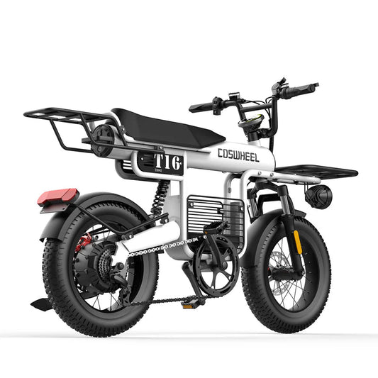 COSWHEEL T16 - Commuter E-bike - Also Cargo Ride-Electric-Bikes